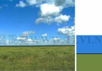 版面構(gòu)圖初學(xué)者必讀（2）--構(gòu)圖基本要素之線