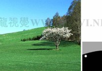 版面構(gòu)圖初學(xué)者必讀（3）--構(gòu)圖基本要素之面 