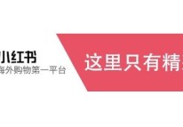 小紅書APP開發(fā)運營方案